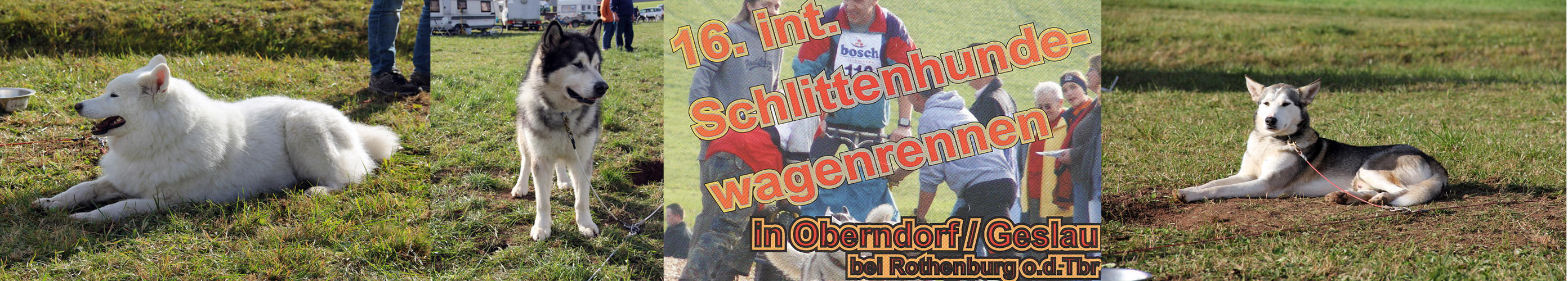 Schlittenhunde-Wagenrennen 1/9