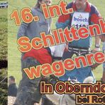 Schlittenhunde-Wagenrennen 1/9