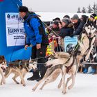 Schlittenhunde_am_Start