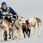 Schlittenhunderennen