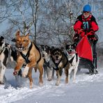 Schlittenhunderennen 2012 in Ceskou Kanadou, Tschechien – Part 1