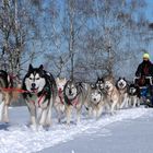 Schlittenhunderennen 2012 in Ceskou Kanadou, Tschechien – Part 5