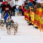 Schlittenhunderennen 2018-1