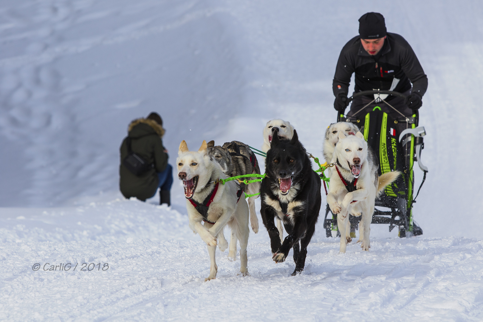 Schlittenhunderennen 2018-6