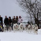 Schlittenhunderennen 21.02.2009 in Winterberg