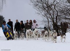 Schlittenhunderennen 21.02.2009 in Winterberg