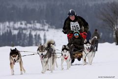 Schlittenhunderennen 21.02.2009 in Winterberg