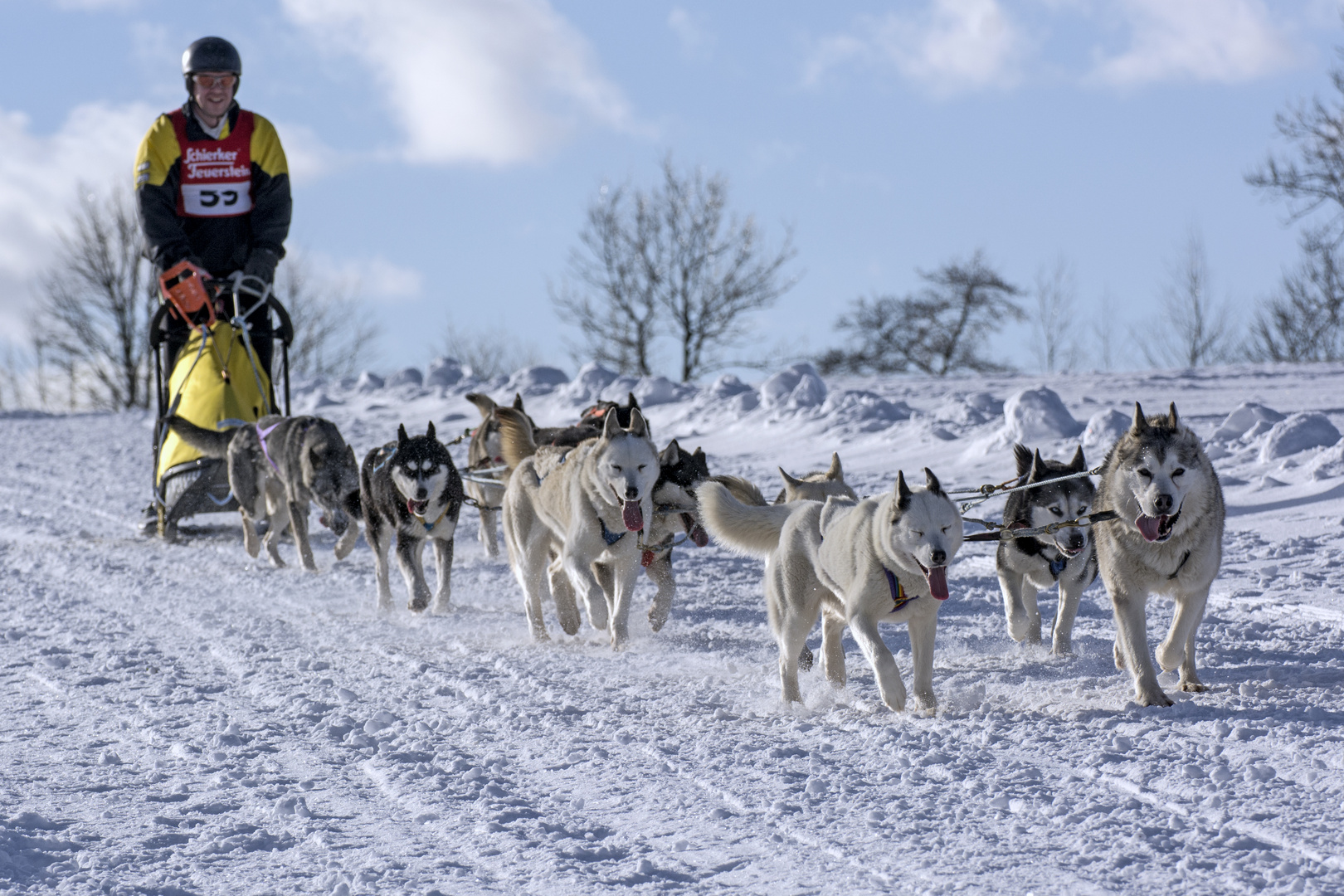 Schlittenhunderennen