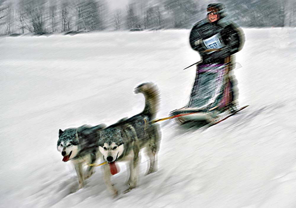 Schlittenhunderennen