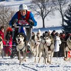 Schlittenhunderennen Clausthal Zellerfeld 2012