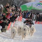 Schlittenhunderennen Clausthal-Zellerfeld 2013