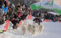 Schlittenhunderennen Clausthal-Zellerfeld 2013