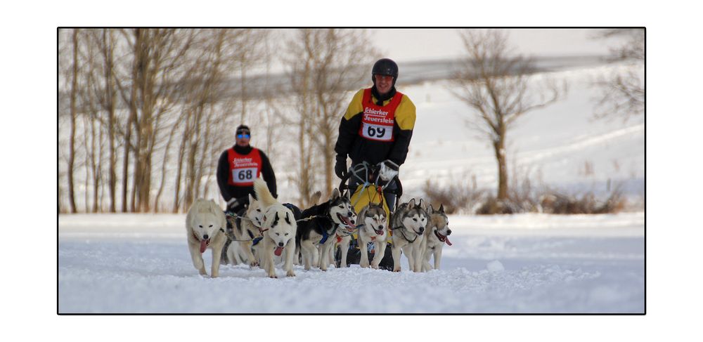 Schlittenhunderennen Clausthal-Zellerfeld 2013 (II)