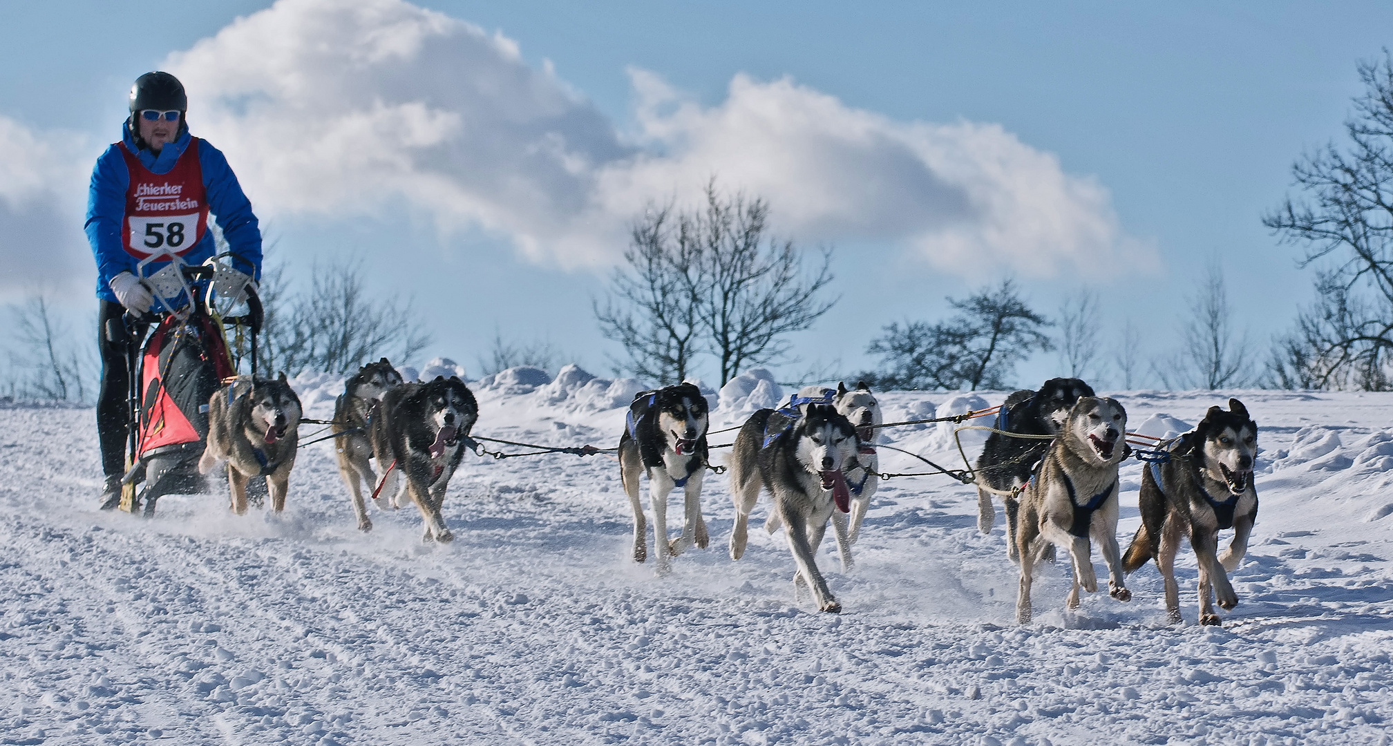 Schlittenhunderennen Clausthal-Zellerfeld 3