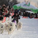 Schlittenhunderennen Clausthal-Zellerfeld