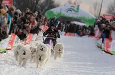 Schlittenhunderennen Clausthal-Zellerfeld