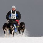 Schlittenhunderennen