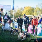 Schlittenhunderennen, dog races