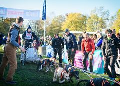 Schlittenhunderennen, dog races