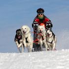 Schlittenhunderennen Frauenwald 2015-4