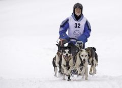 Schlittenhunderennen Haidmühle #03