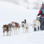 Schlittenhunderennen Hintersee