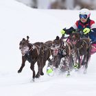 Schlittenhunderennen Hintersee