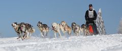 Schlittenhunderennen in Frauenwald 4