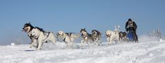 Schlittenhunderennen in Frauenwald 8