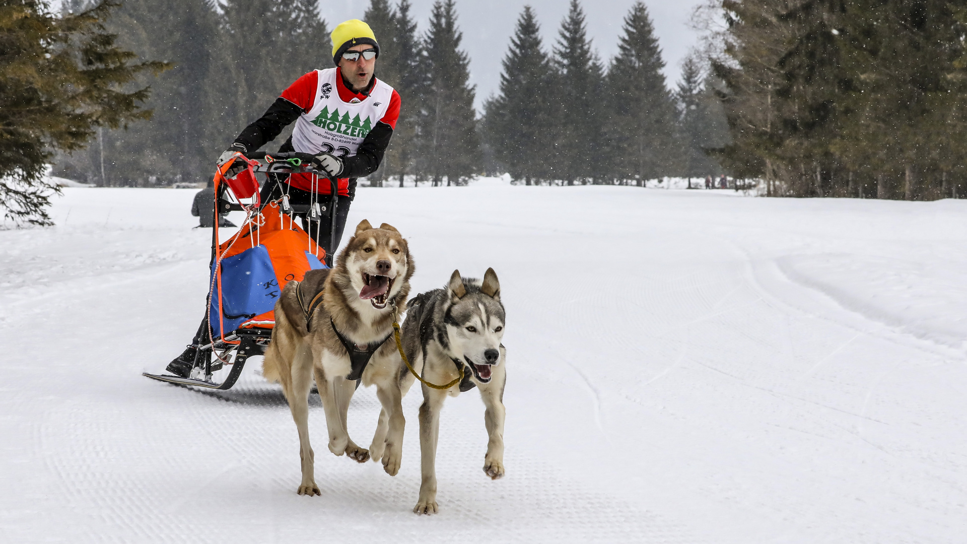 Schlittenhunderennen in Wallgau 2018 - 1