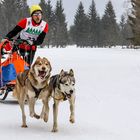 Schlittenhunderennen in Wallgau 2018 - 1