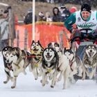 Schlittenhunderennen in Wallgau 2018 - 4