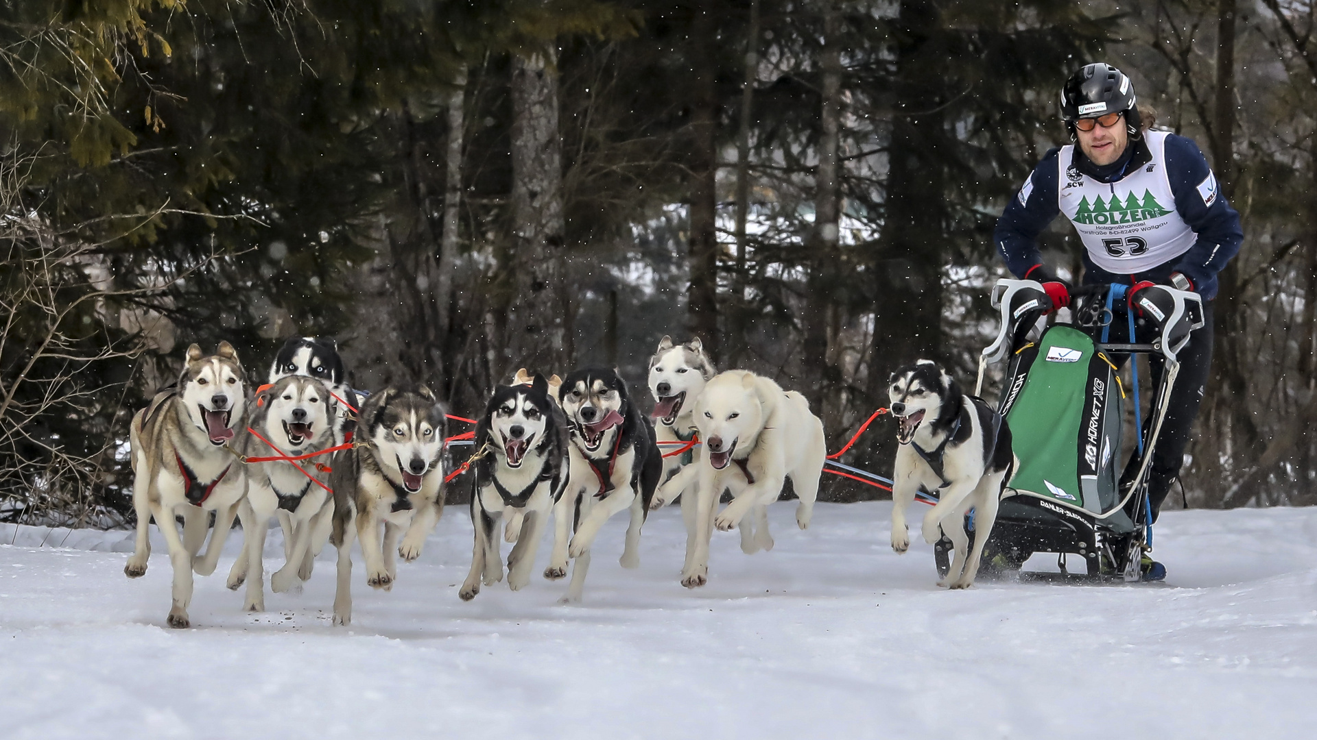 Schlittenhunderennen in Wallgau 2018 - 7