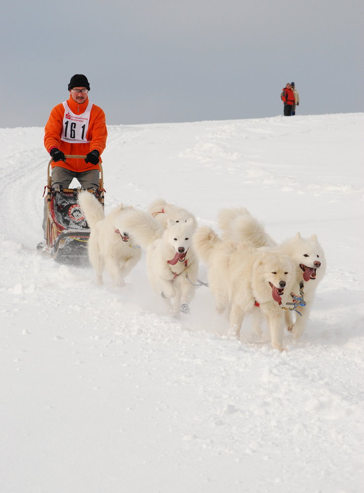 Schlittenhunderennen Liebenscheid 2010