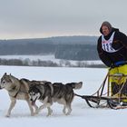 Schlittenhunderennen Liebenscheid 2017