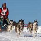 Schlittenhunderennen - Liebenscheid