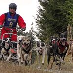 Schlittenhunderennen Ottenschlag (2011) Part 1 (Lauf 1)