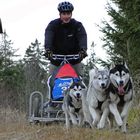 Schlittenhunderennen Ottenschlag (2011) Part 3