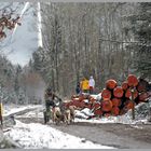 Schlittenhunderennen Rodt Belgien 2013