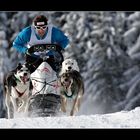 Schlittenhunderennen Sandl 2010