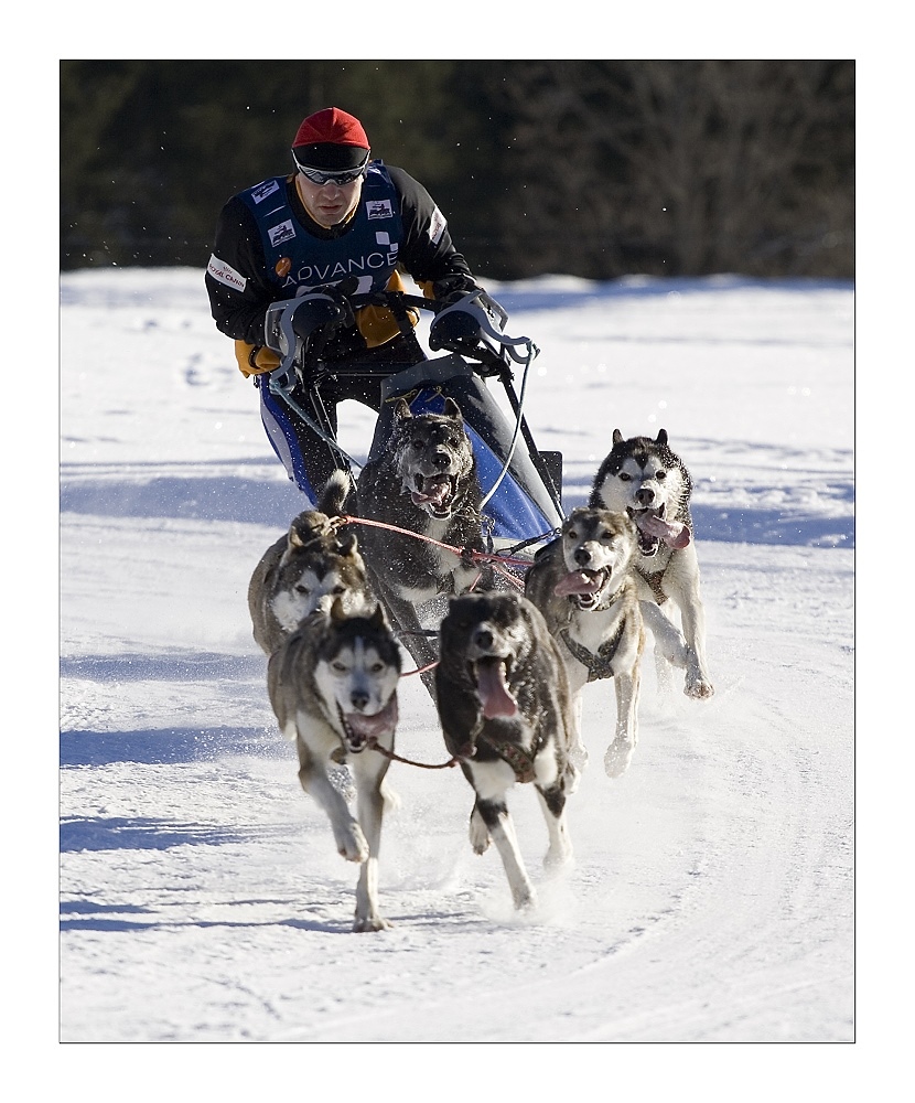 Schlittenhunderennen Unterjoch 1