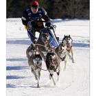 Schlittenhunderennen Unterjoch 1