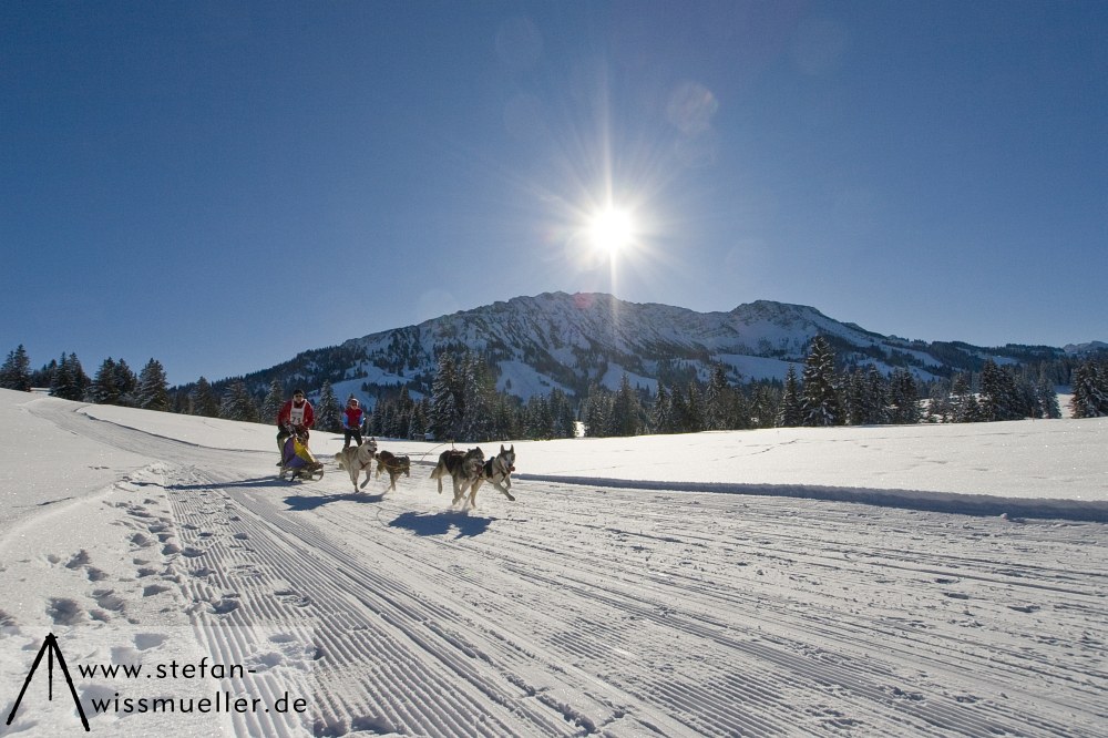 Schlittenhunderennen Unterjoch 2010