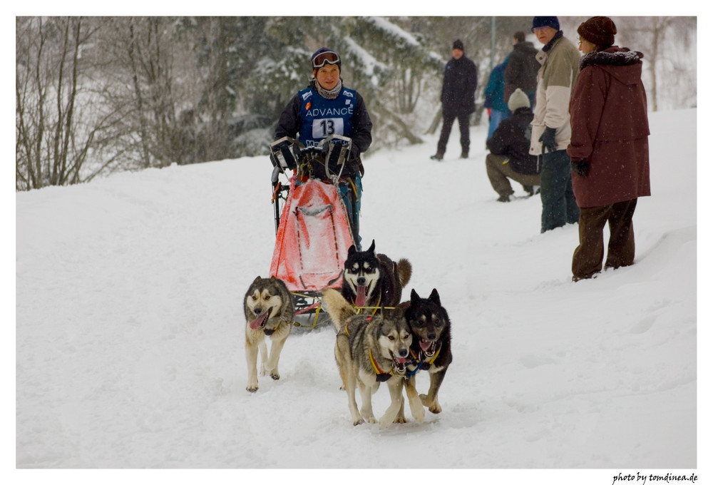 Schlittenhunderennen Warmensteinach #3