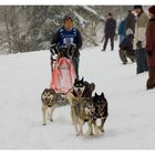 Schlittenhunderennen Warmensteinach #3