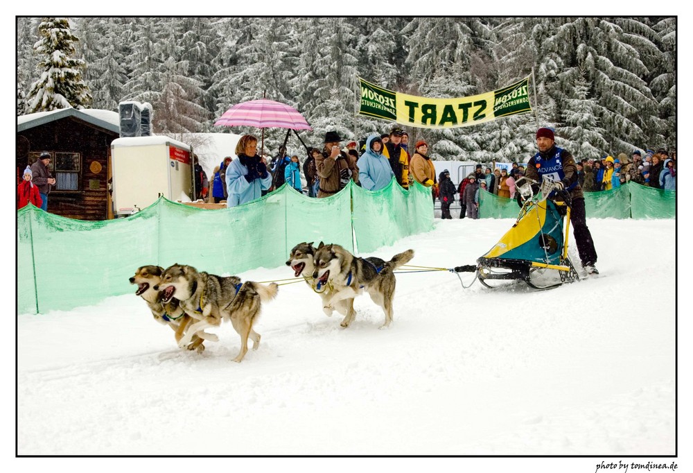 Schlittenhunderennen Warmensteinach #5