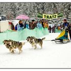 Schlittenhunderennen Warmensteinach #5