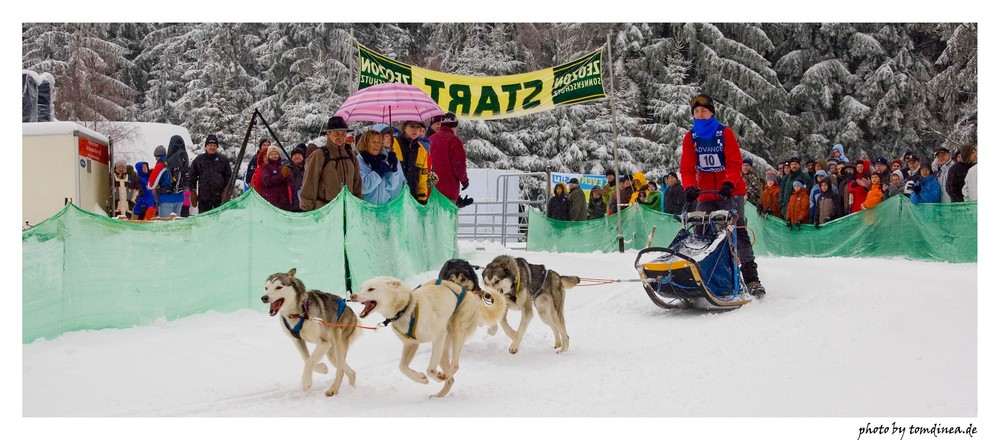 Schlittenhunderennen Warmensteinach #7