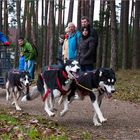 Schlittenhundesport (6)