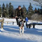 Schlittenhundesport mit einem Husky vor dem Fahrrad